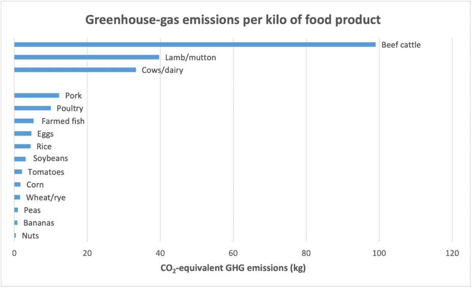 cows,cattle,livestock,emissions,food,agriculture,GHG,dairy