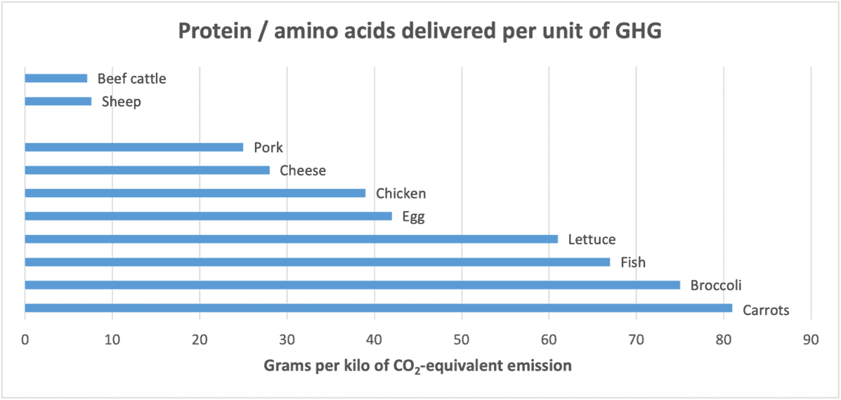 cows,cattle,livestock,emissions,food,agriculture,GHG,dairy